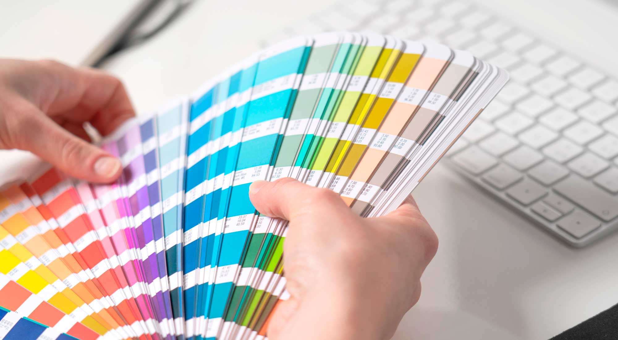 Graphic Designer